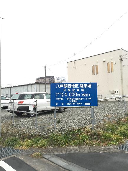 全体写真