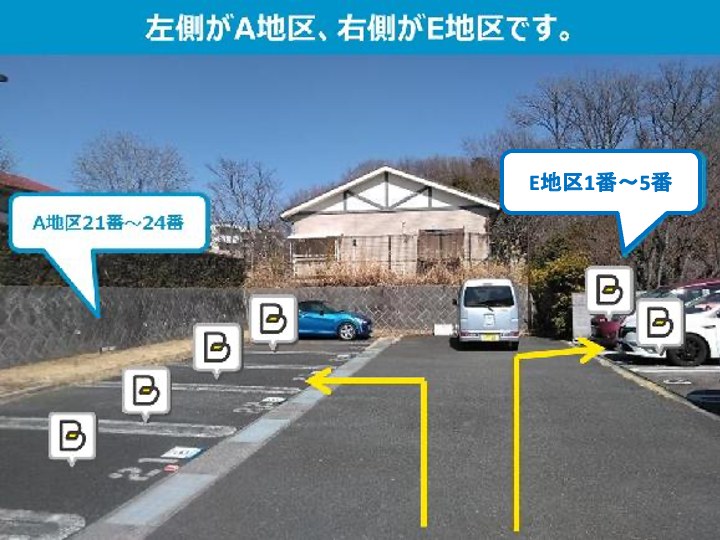 全体写真