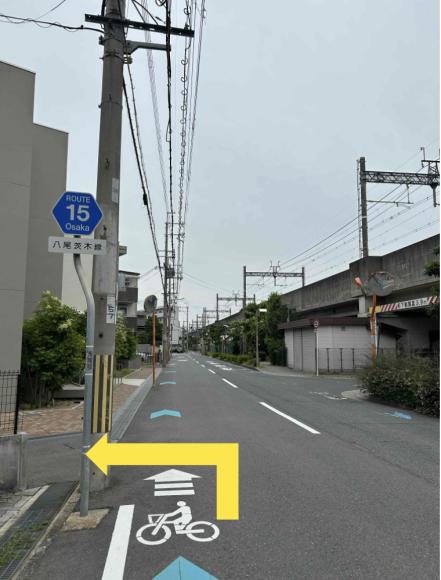全体写真