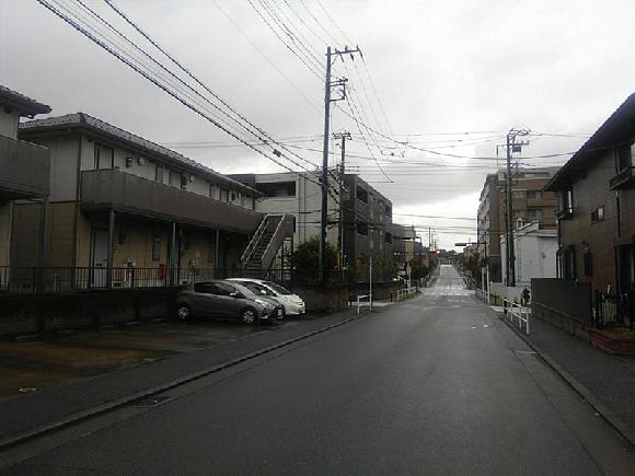 全体写真
