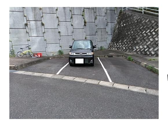 全体写真