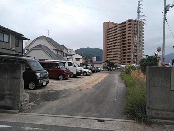 全体写真