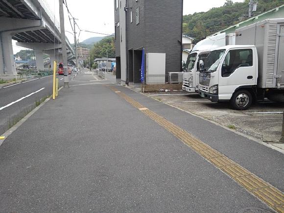 全体写真