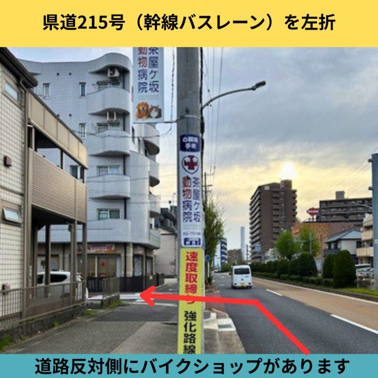 周辺写真