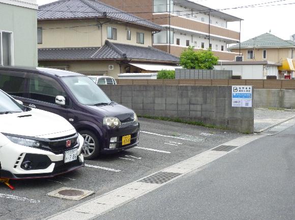 全体写真