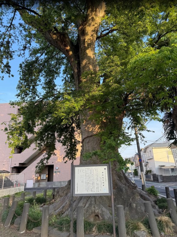 その他3