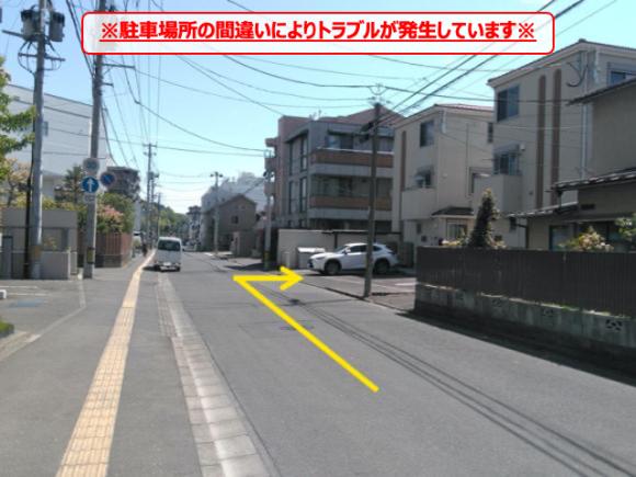 全体写真