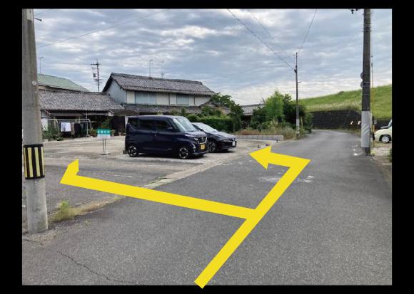全体写真