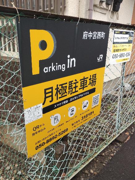 全体写真