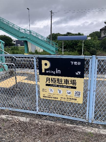 全体写真