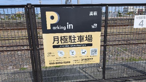 全体写真