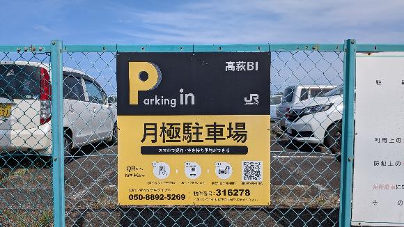 全体写真