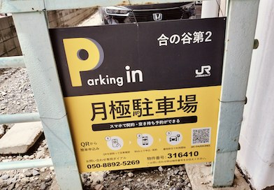 全体写真