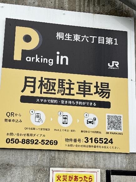 全体写真