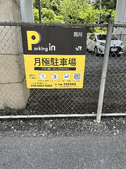 全体写真