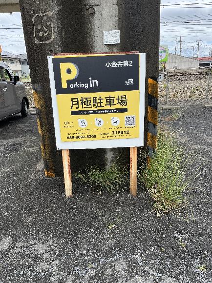 全体写真