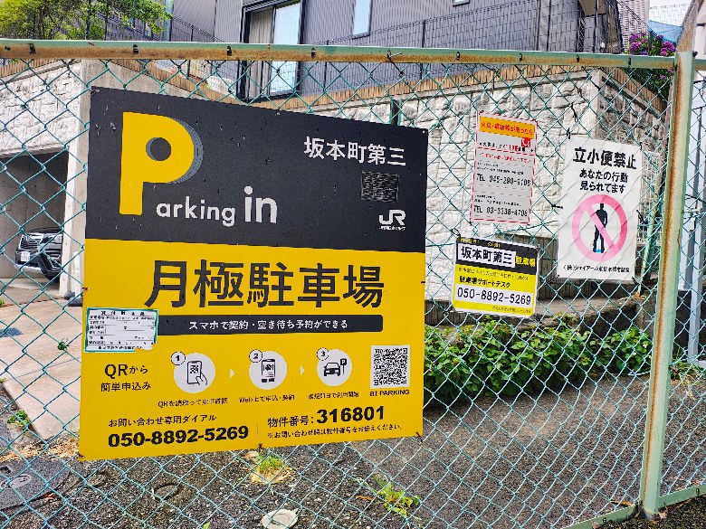 全体写真