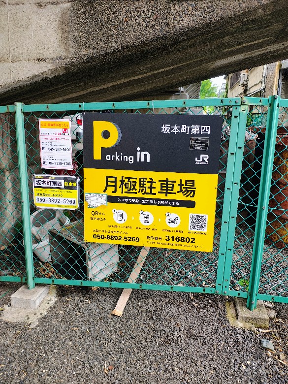 全体写真