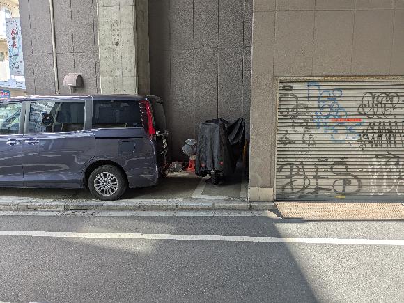 全体写真
