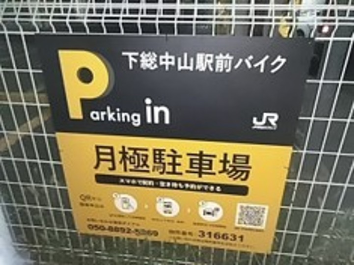 全体写真