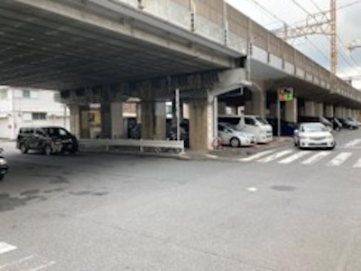 全体写真
