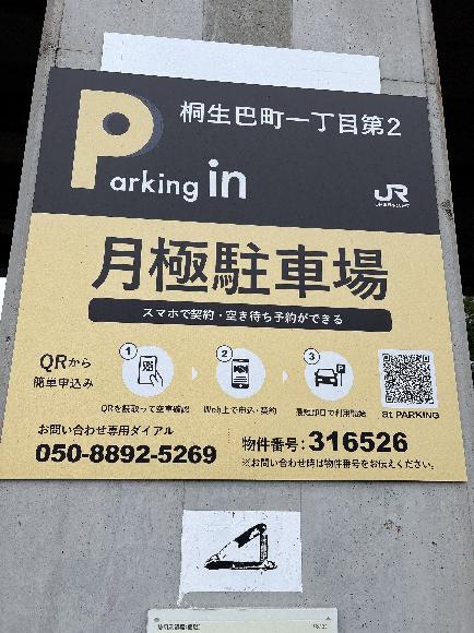 全体写真