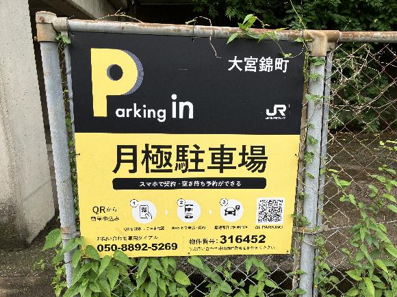 全体写真