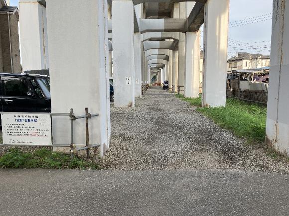 全体写真