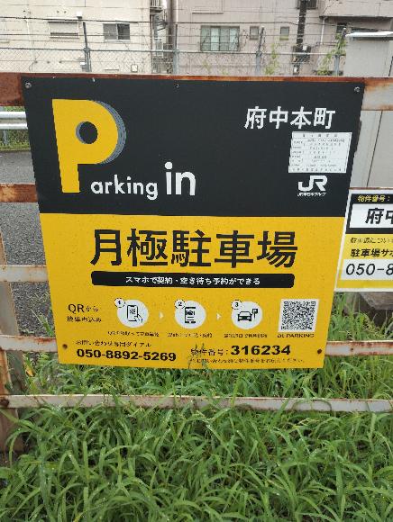 全体写真