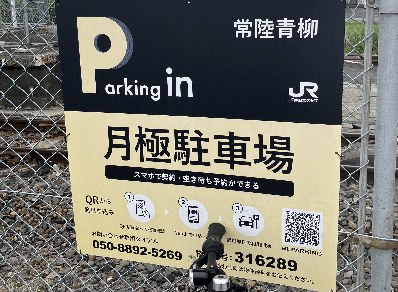 全体写真