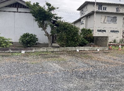 常陸青柳