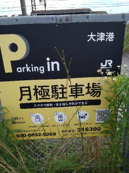 全体写真
