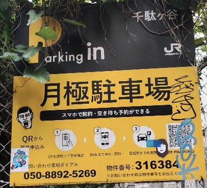 全体写真