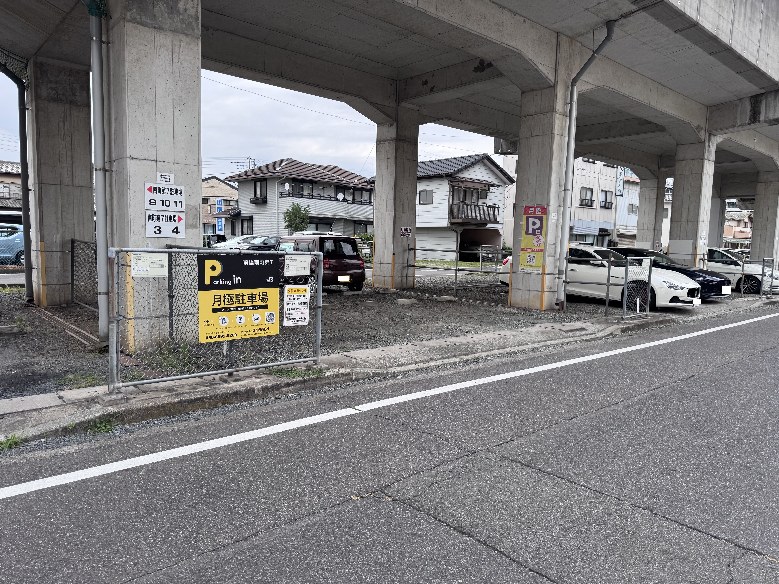 全体写真