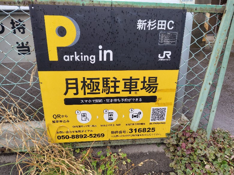 全体写真