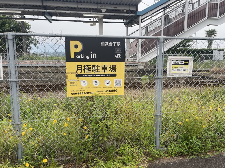 全体写真