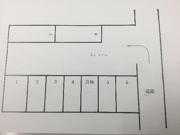 全体写真