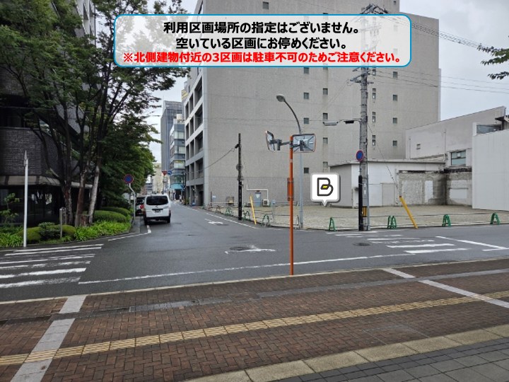 全体写真