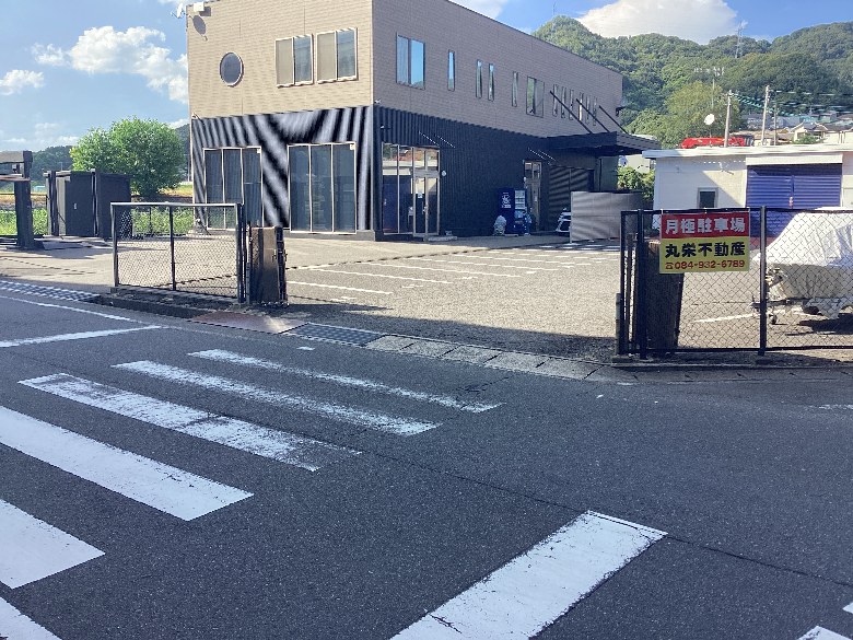全体写真