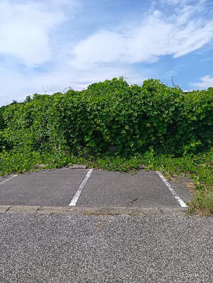 【軽専用】下新田県営住宅　A棟北側駐車場