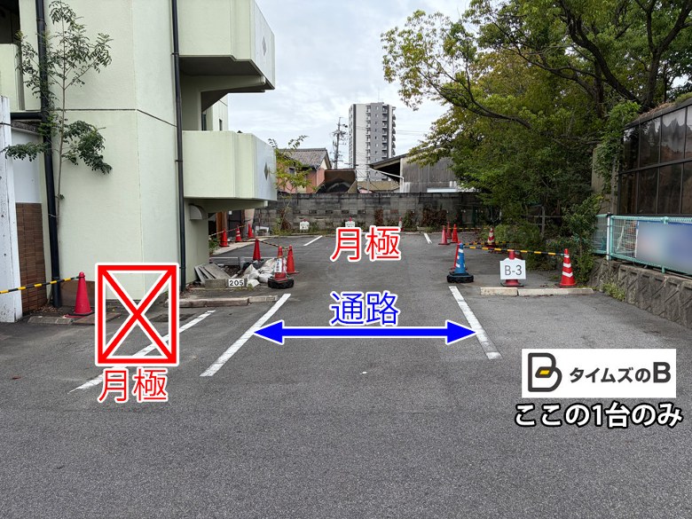 全体写真