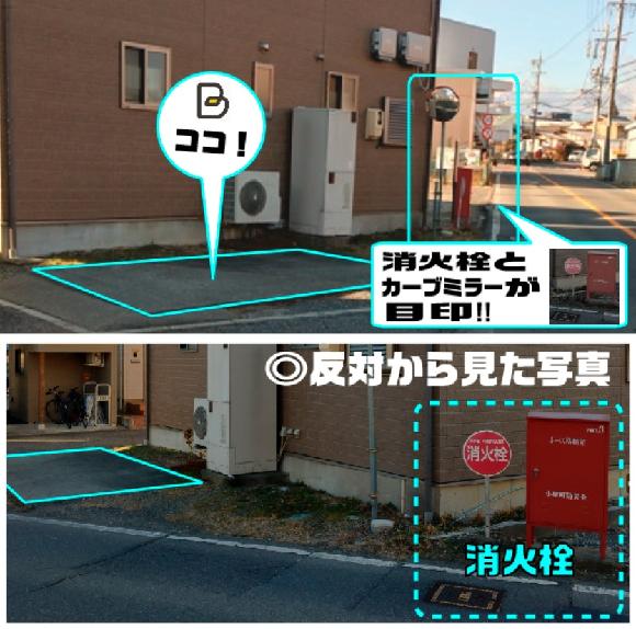 全体写真