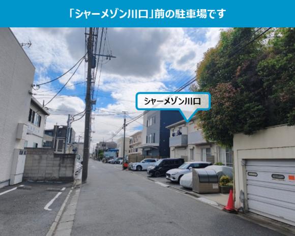 全体写真