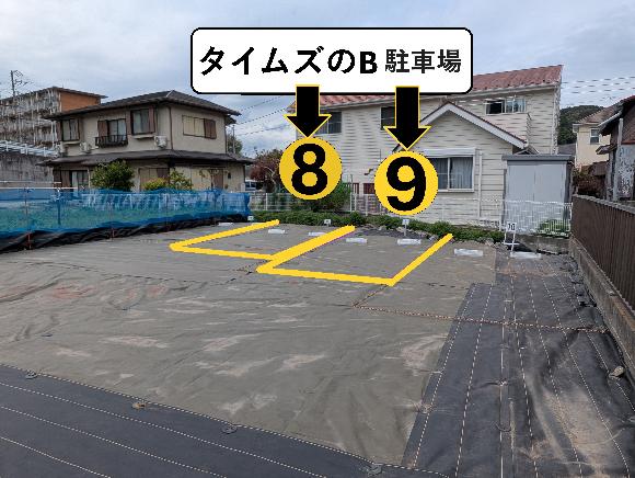 全体写真