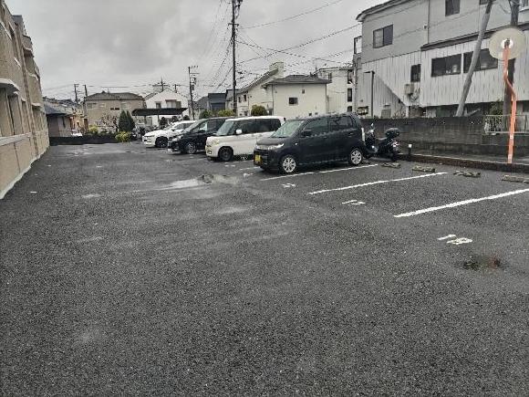 全体写真