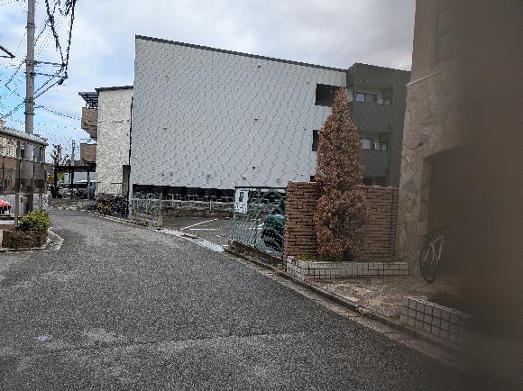全体写真