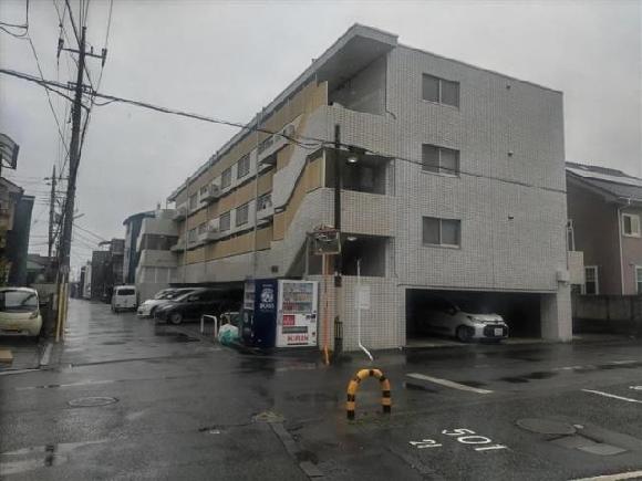 全体写真