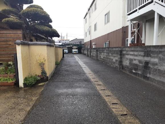 全体写真