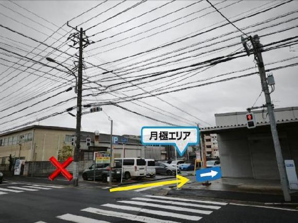 全体写真