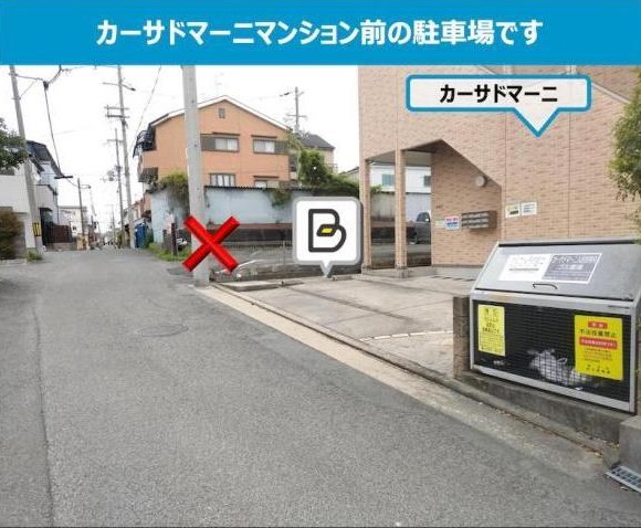 全体写真